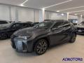 usato LEXUS UX 250h