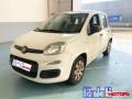 usato FIAT Panda