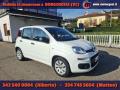 usato FIAT Panda