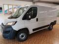 usato FIAT Ducato