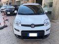 usato FIAT Panda