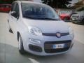 usato FIAT Panda