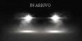 usato FIAT Punto Evo