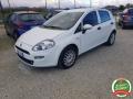 usato FIAT Punto