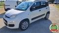 usato FIAT Panda