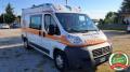usato FIAT Ducato