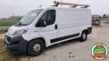 usato FIAT Ducato