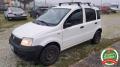usato FIAT Panda