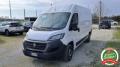 usato FIAT Ducato