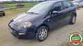usato FIAT Punto