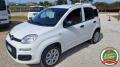 usato FIAT Panda
