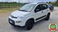 usato FIAT Panda