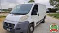 usato FIAT Ducato