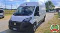 usato FIAT Ducato