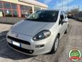 usato FIAT Punto