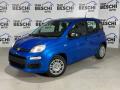 usato FIAT New Panda