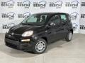usato FIAT Panda