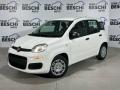 usato FIAT New Panda