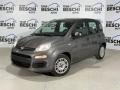 usato FIAT Panda