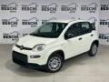 usato FIAT Panda