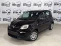 usato FIAT Panda