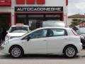 usato FIAT Punto Evo