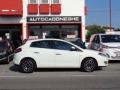 usato FIAT Bravo