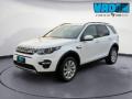 usato LAND ROVER Discovery Sport