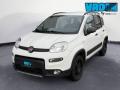 usato FIAT Panda