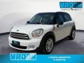 usato MINI Countryman