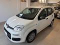 usato FIAT Panda