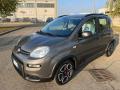 usato FIAT Panda