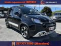 usato FIAT Panda