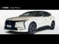 usato DS AUTOMOBILES Altro