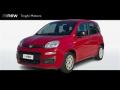 usato FIAT Panda