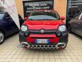 usato FIAT Panda Cross