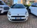 usato FIAT Punto