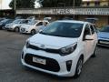 usato KIA Picanto