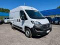 usato FIAT Ducato