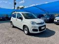usato FIAT Panda