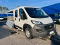 usato FIAT Ducato