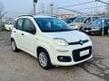 usato FIAT Panda