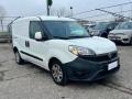 usato FIAT Doblo