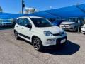 usato FIAT Panda