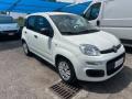 usato FIAT Panda