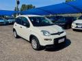 usato FIAT Panda