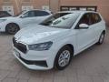 usato SKODA Fabia