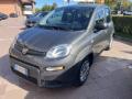 usato FIAT Panda