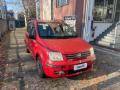 usato FIAT Panda
