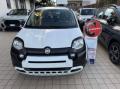 usato FIAT Panda